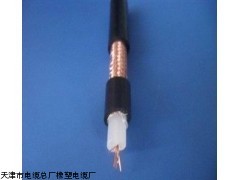 熱銷(xiāo)SYNV-75-4-2射頻同軸電纜“小貓牌” 專(zhuān)業(yè)供應(yīng)與價(jià)格解析